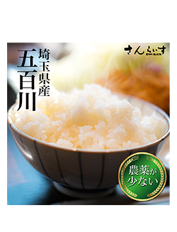 五百川