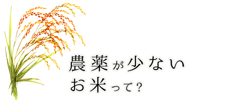 農薬が少ないお米って?